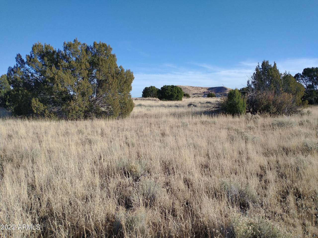 8 Pate Lane - Photo 1