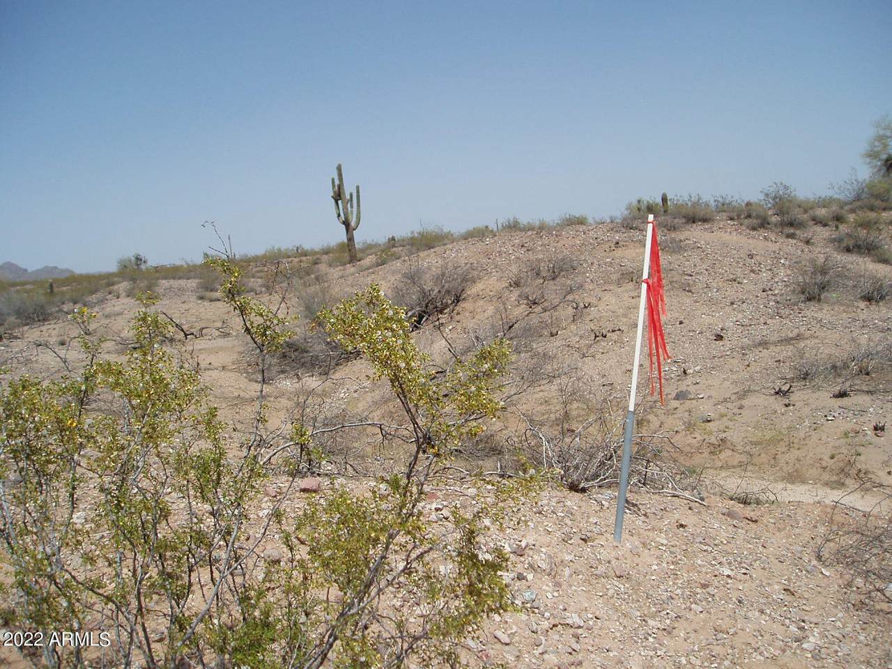33620 Carefree Highway - Photo 1