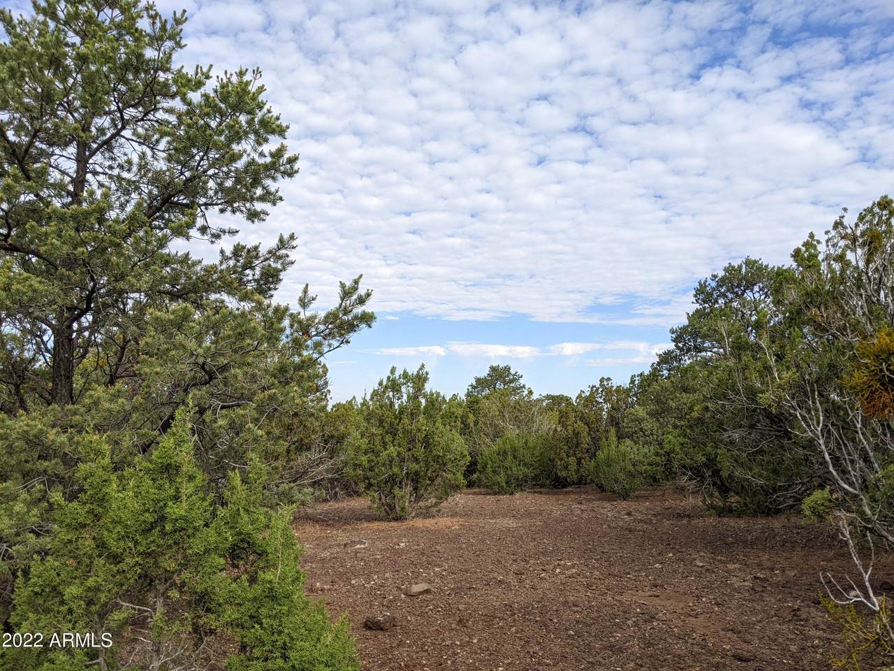 Lot 30 Ricks Road - Photo 1