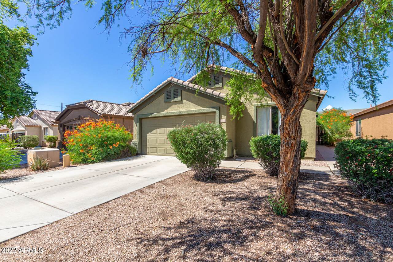 11342 Campana Drive - Photo 1