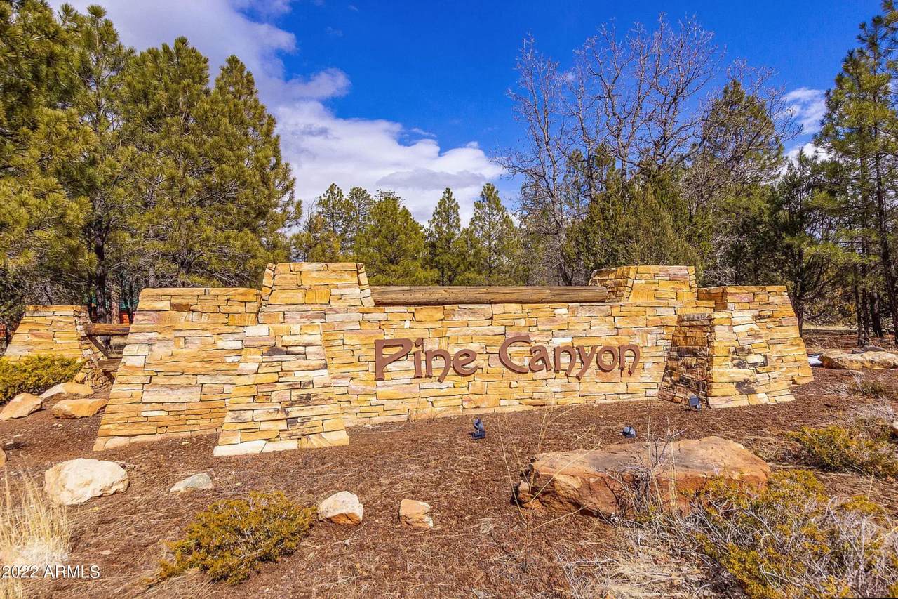 4326 Timberline Drive - Photo 1
