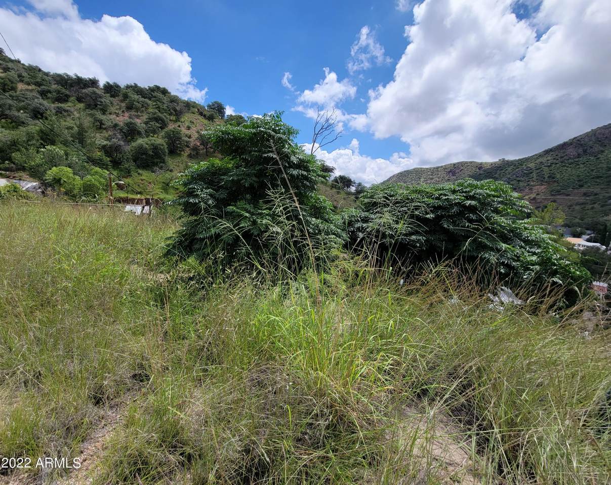 0 103-61-196 Bisbee Avenue - Photo 1