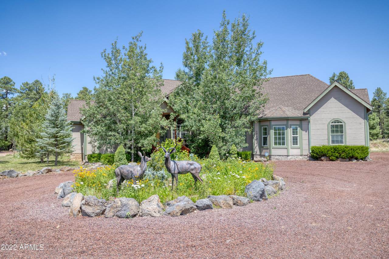 1710 Rainbow View Drive - Photo 1