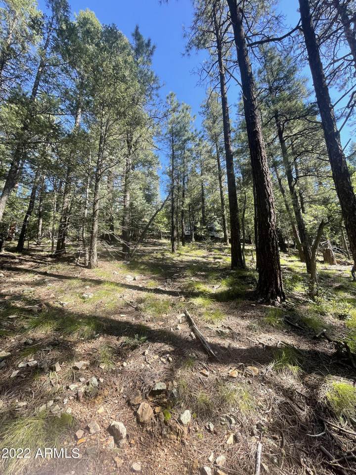 LOT 51 Mountain Pine Acres - Photo 1