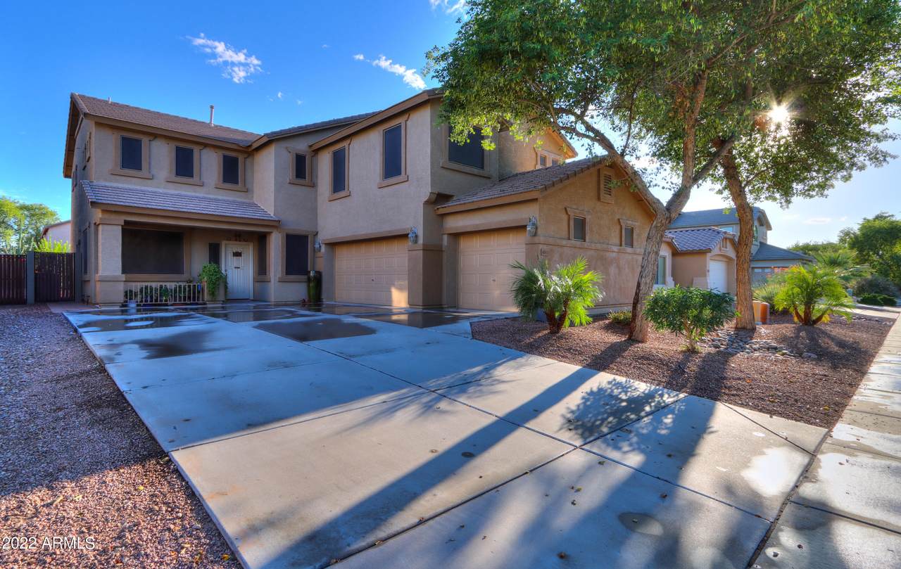 40833 Novak Lane - Photo 1