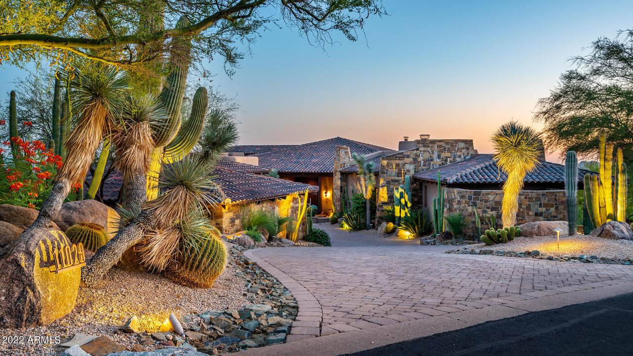 11029 Purple Aster Way - Photo 1