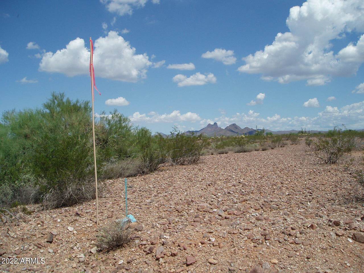 32820 Painted Wagon Trail - Photo 1