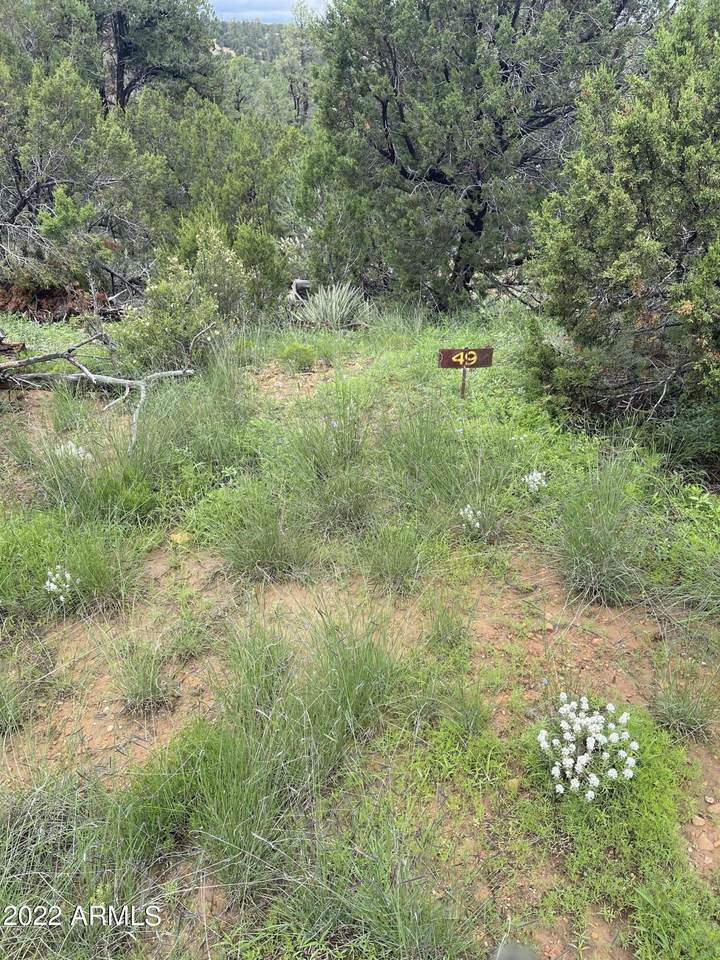 3634 Bobcat Trail - Photo 1