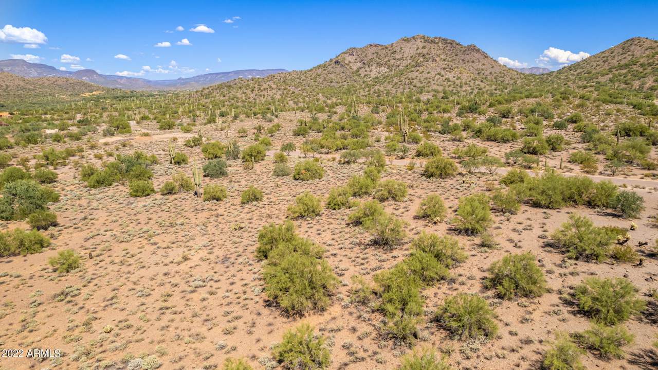 36420 Silver Star Circle - Photo 1