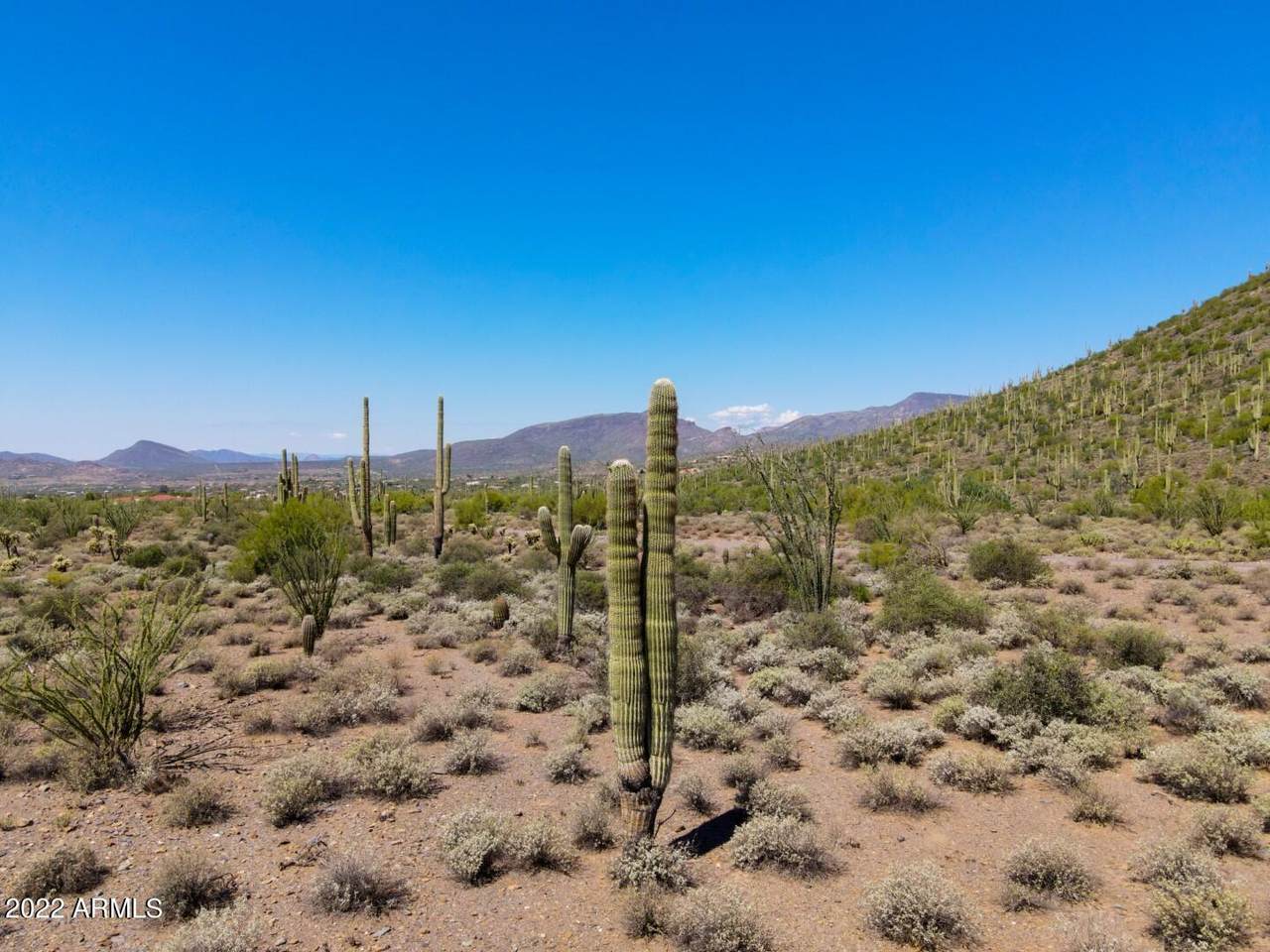 7650 Highland Road - Photo 1