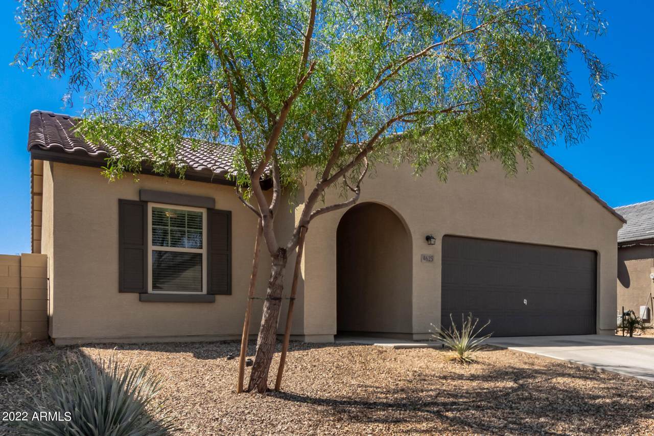 4625 Feather Plume Drive - Photo 1
