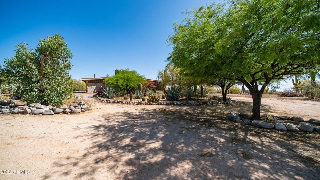 28243 Campanella Street - Photo 1