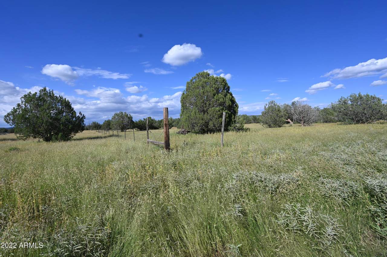 01 Terry Drive - Photo 1