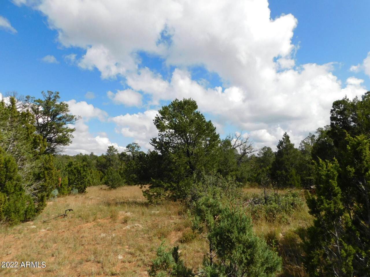8384 Haven Crest Drive - Photo 1