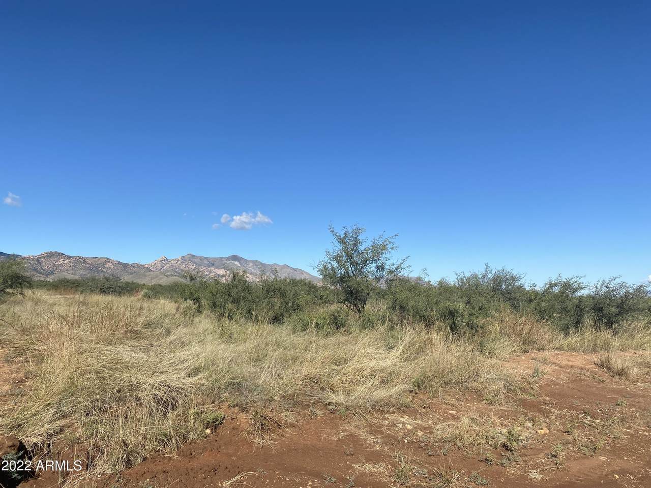 .83 Acres Hagan Street - Photo 1