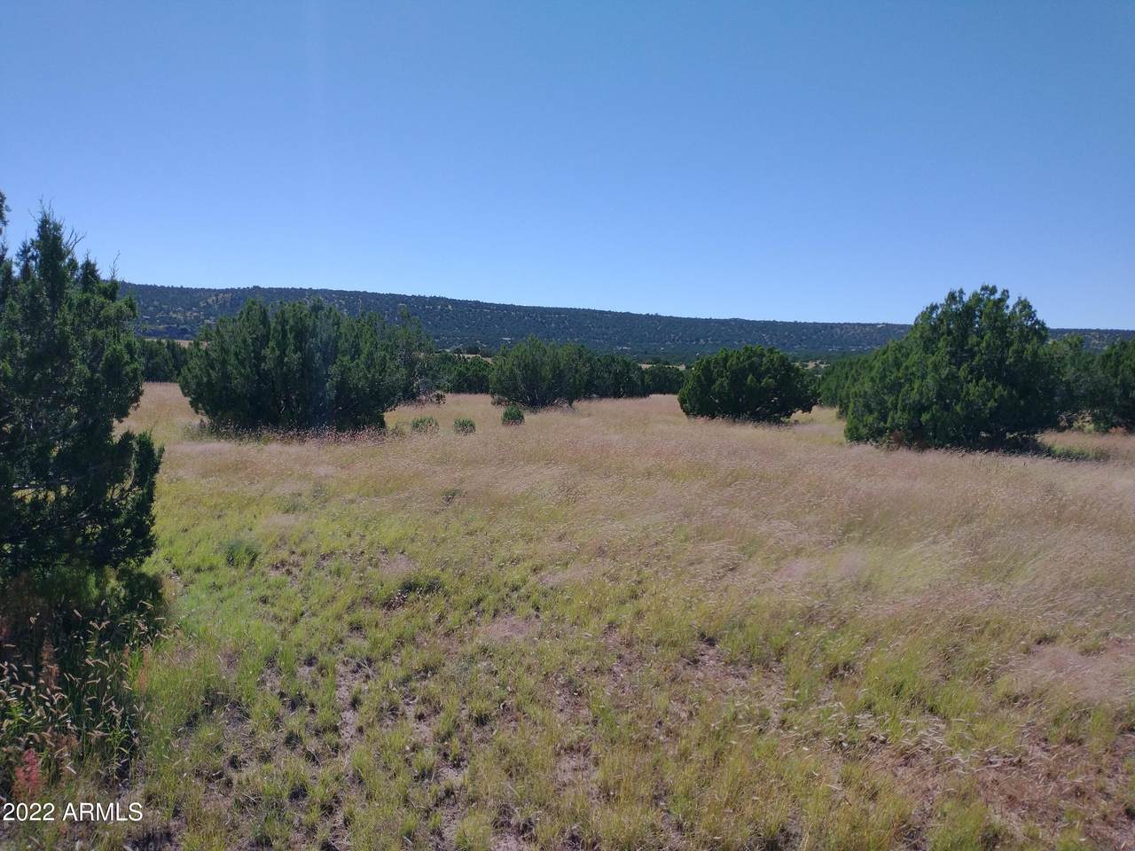 43 County Road 8014 Lane - Photo 1