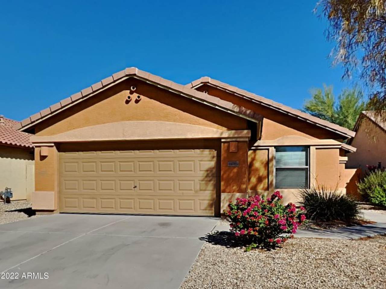 44164 Griffis Drive - Photo 1