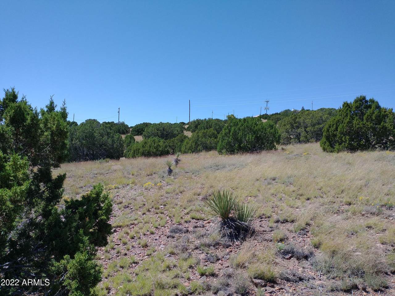 19 Navajo Drive - Photo 1