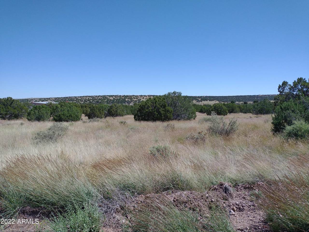 40 Apache Drive - Photo 1
