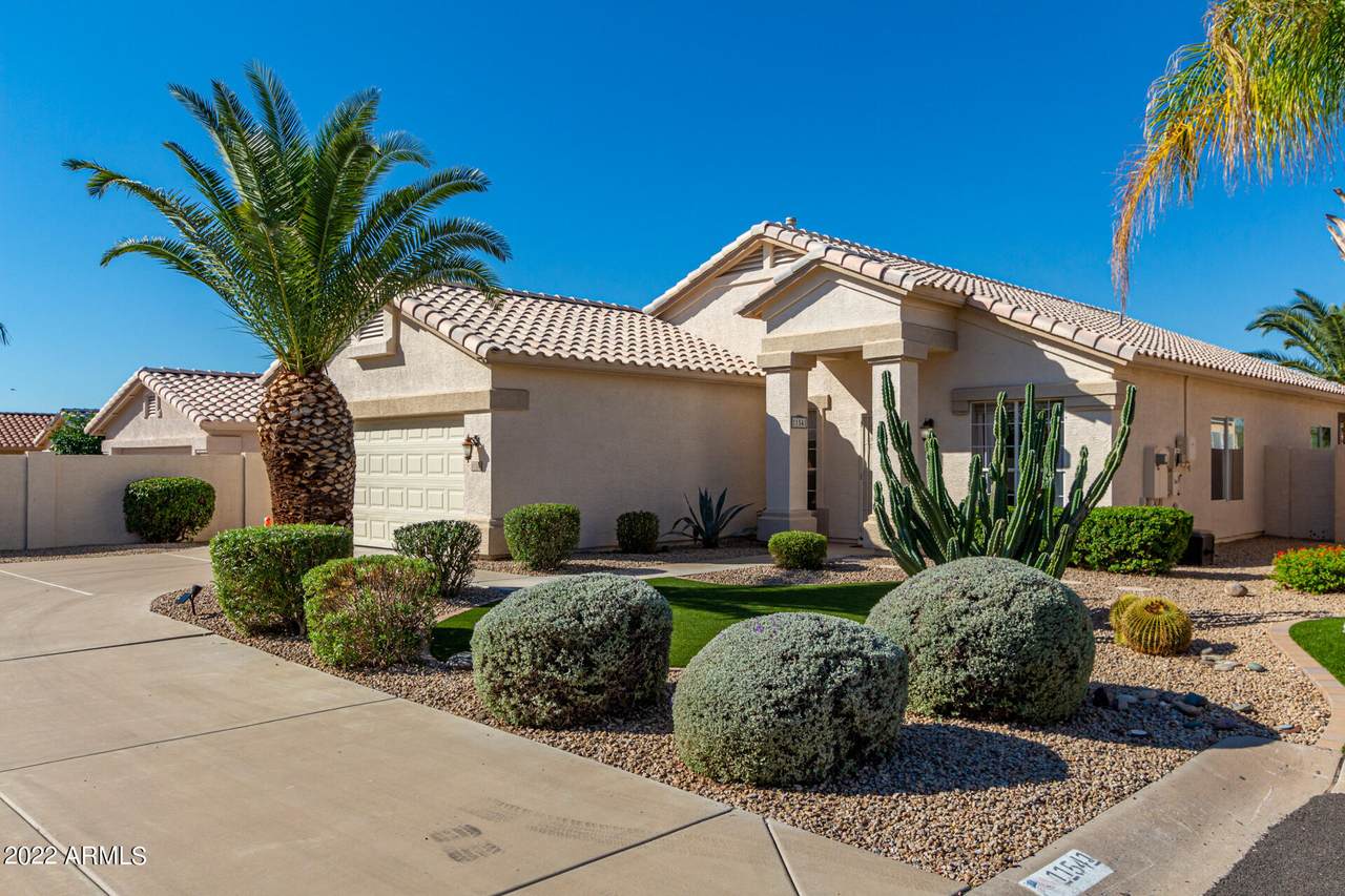 11541 King Snake Court - Photo 1