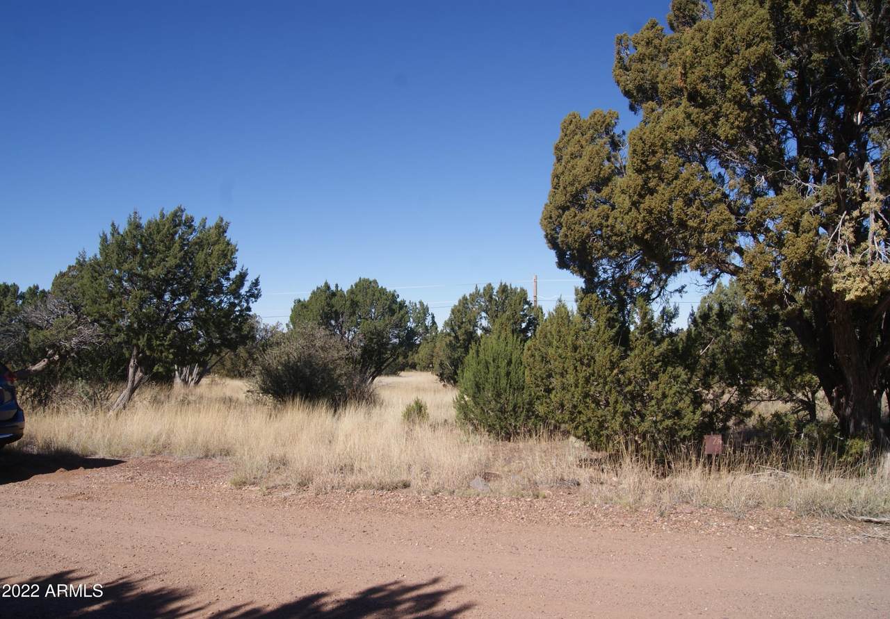 0 Ridge Drive - Photo 1