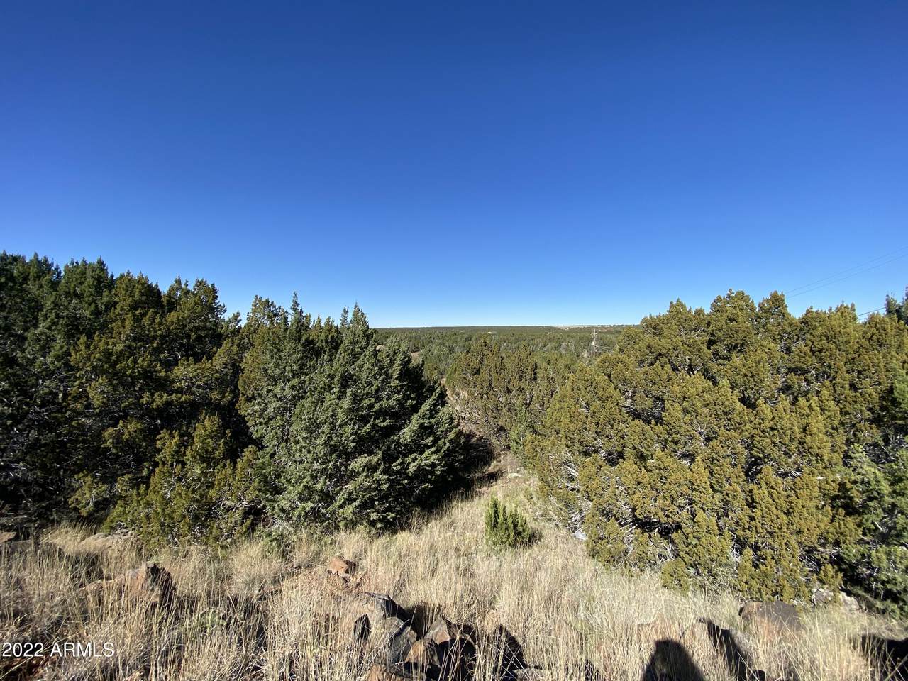 8744 Silver Creek Drive - Photo 1