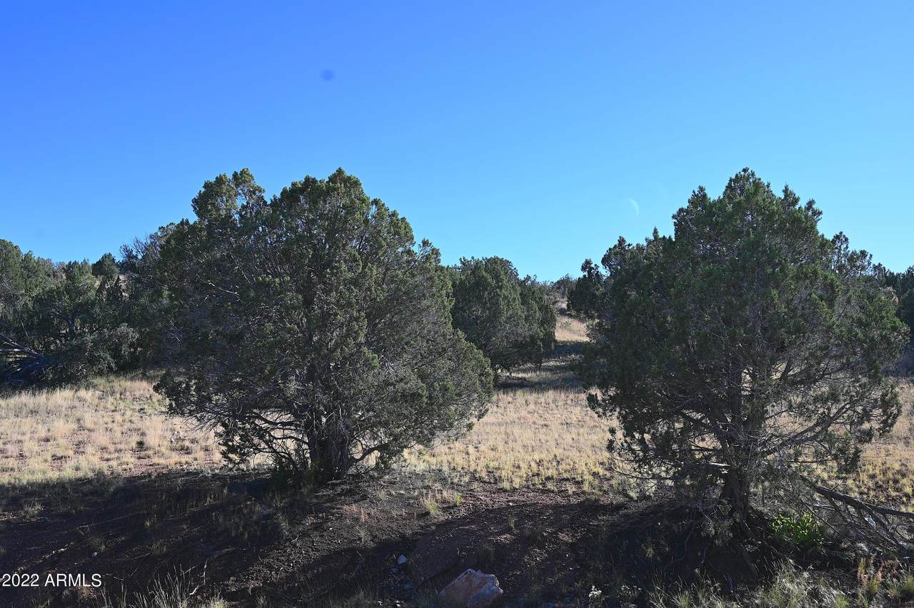 30863 Basconia Road - Photo 1