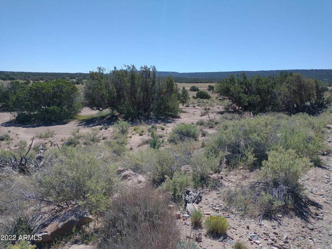 4021 Sorrel Road - Photo 1
