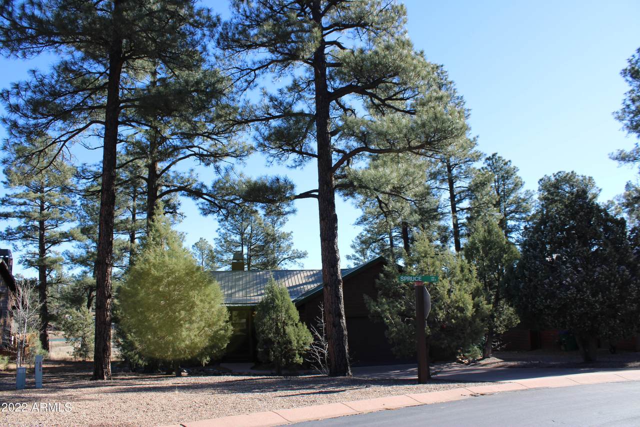 1421 Spruce Lane - Photo 1