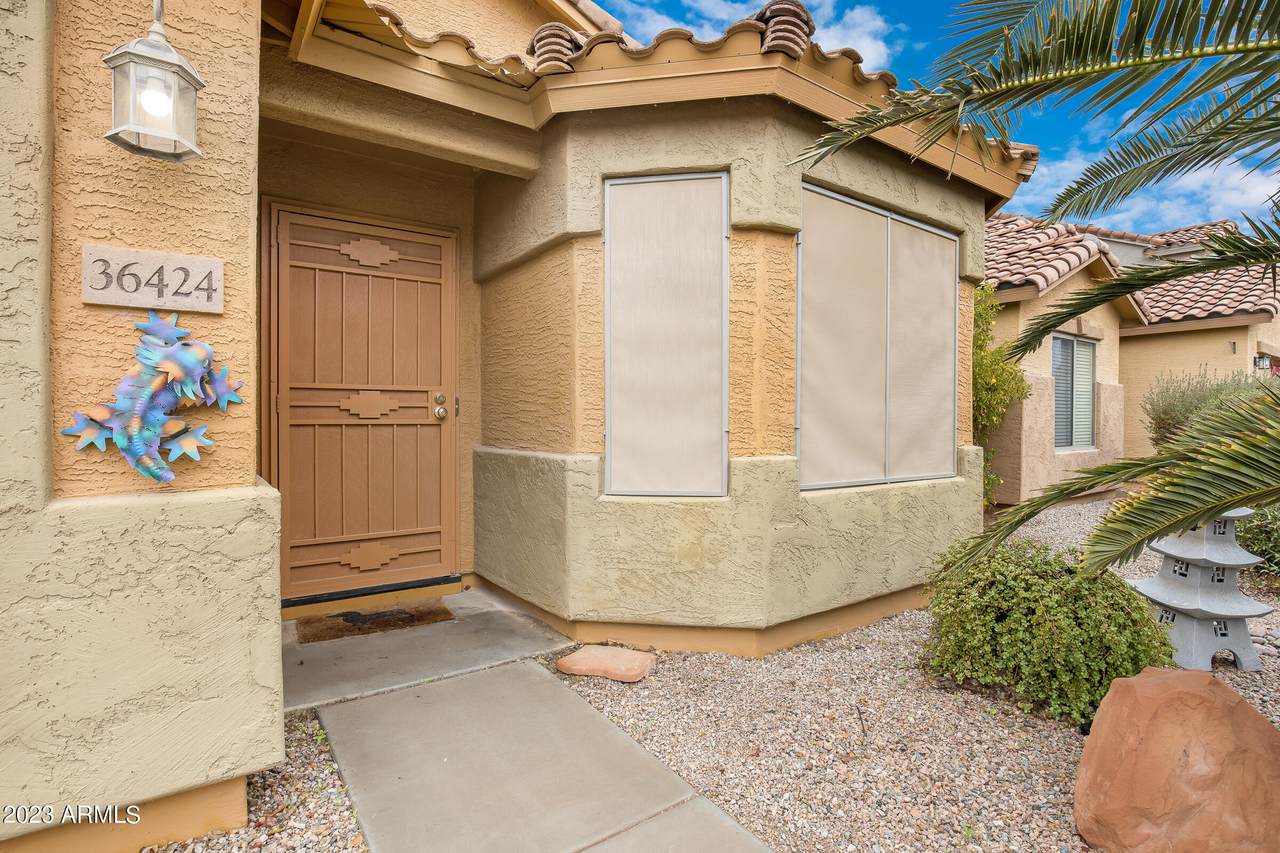36424 El Greco Street - Photo 1
