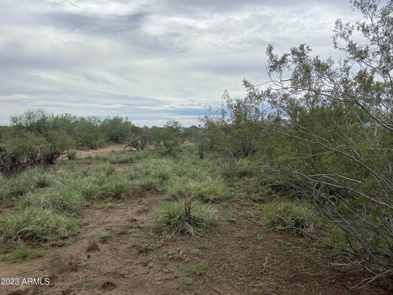 255xx Skinner Road - Photo 1