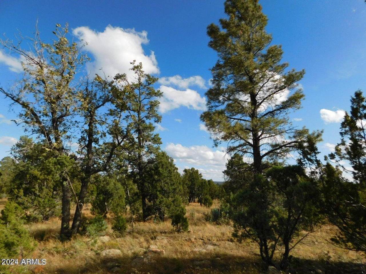 8276 Haven Crest Drive - Photo 1
