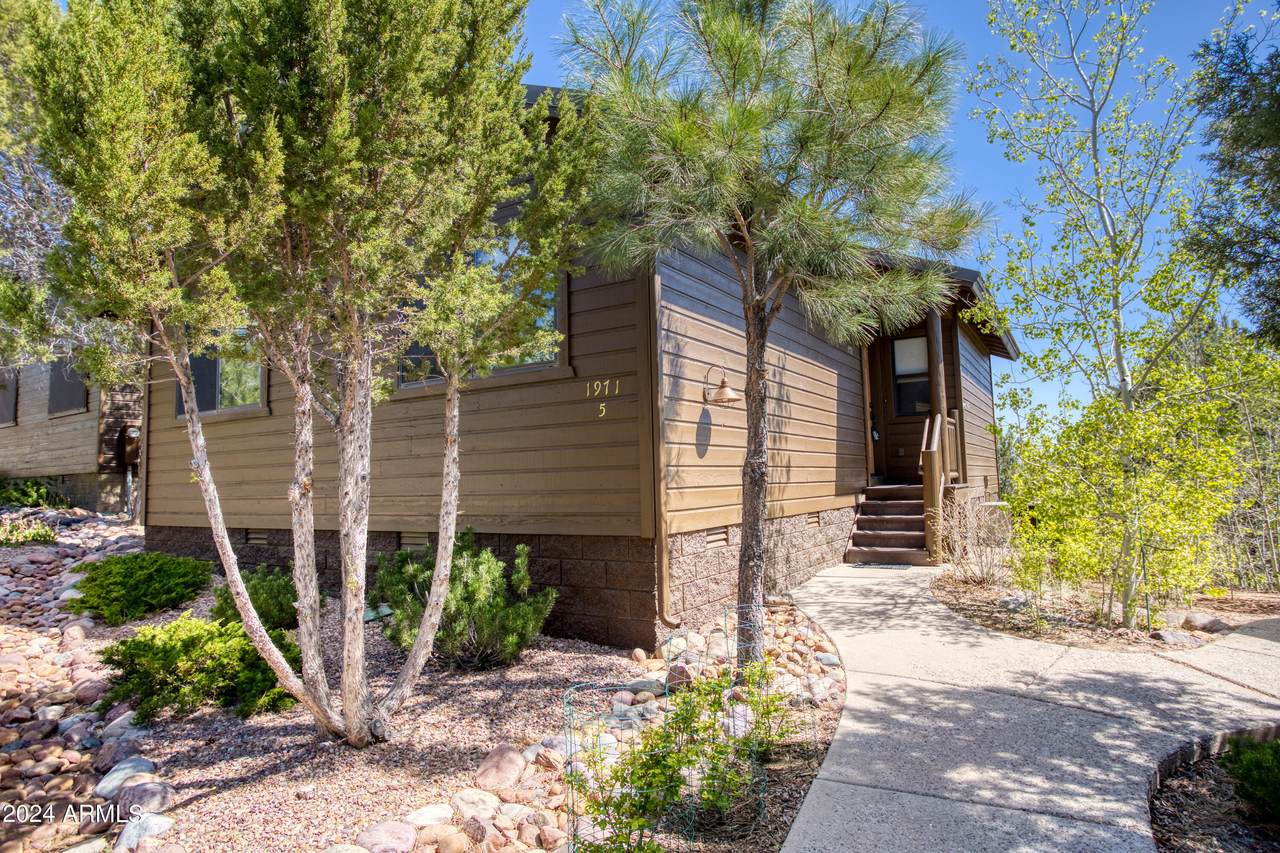 1971 Bison Ridge Trail - Photo 1