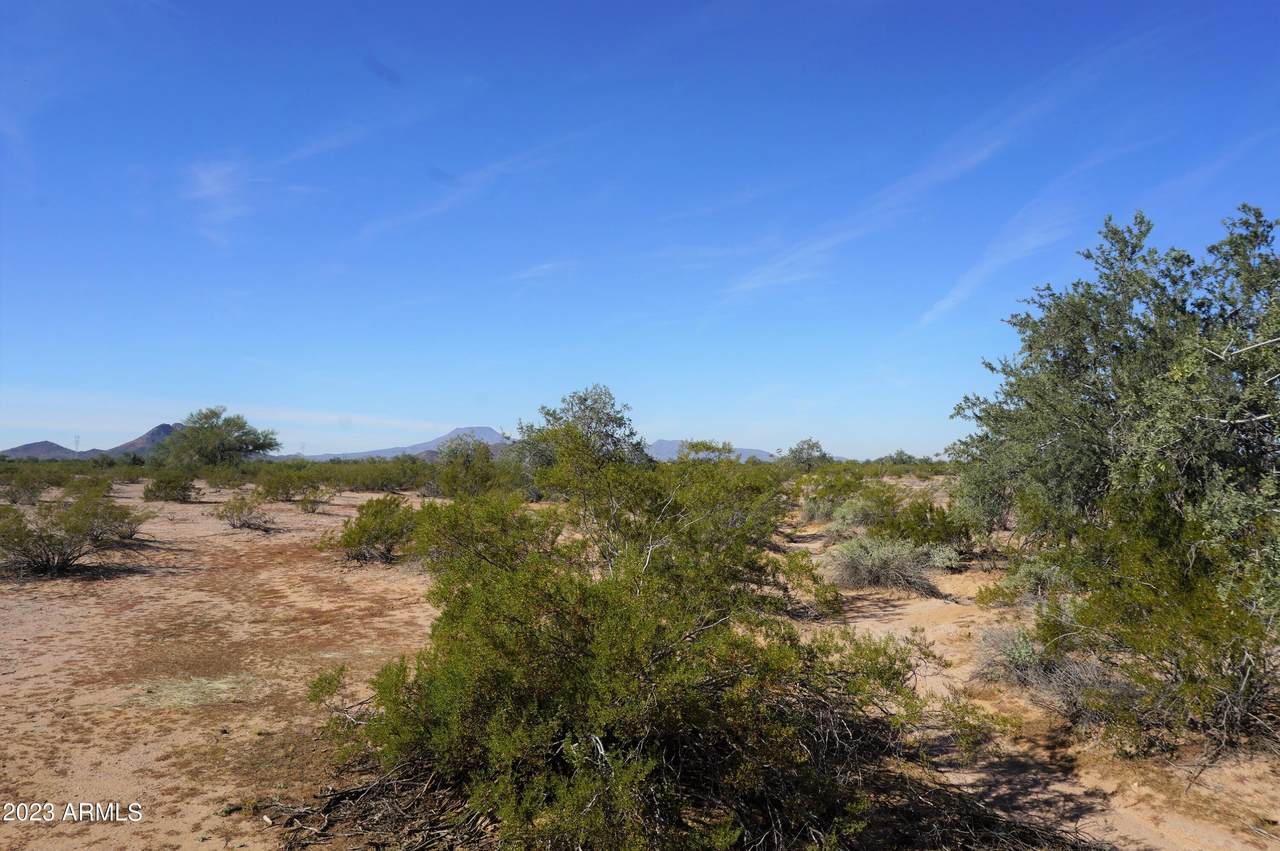 35396 Battaglia Drive - Photo 1