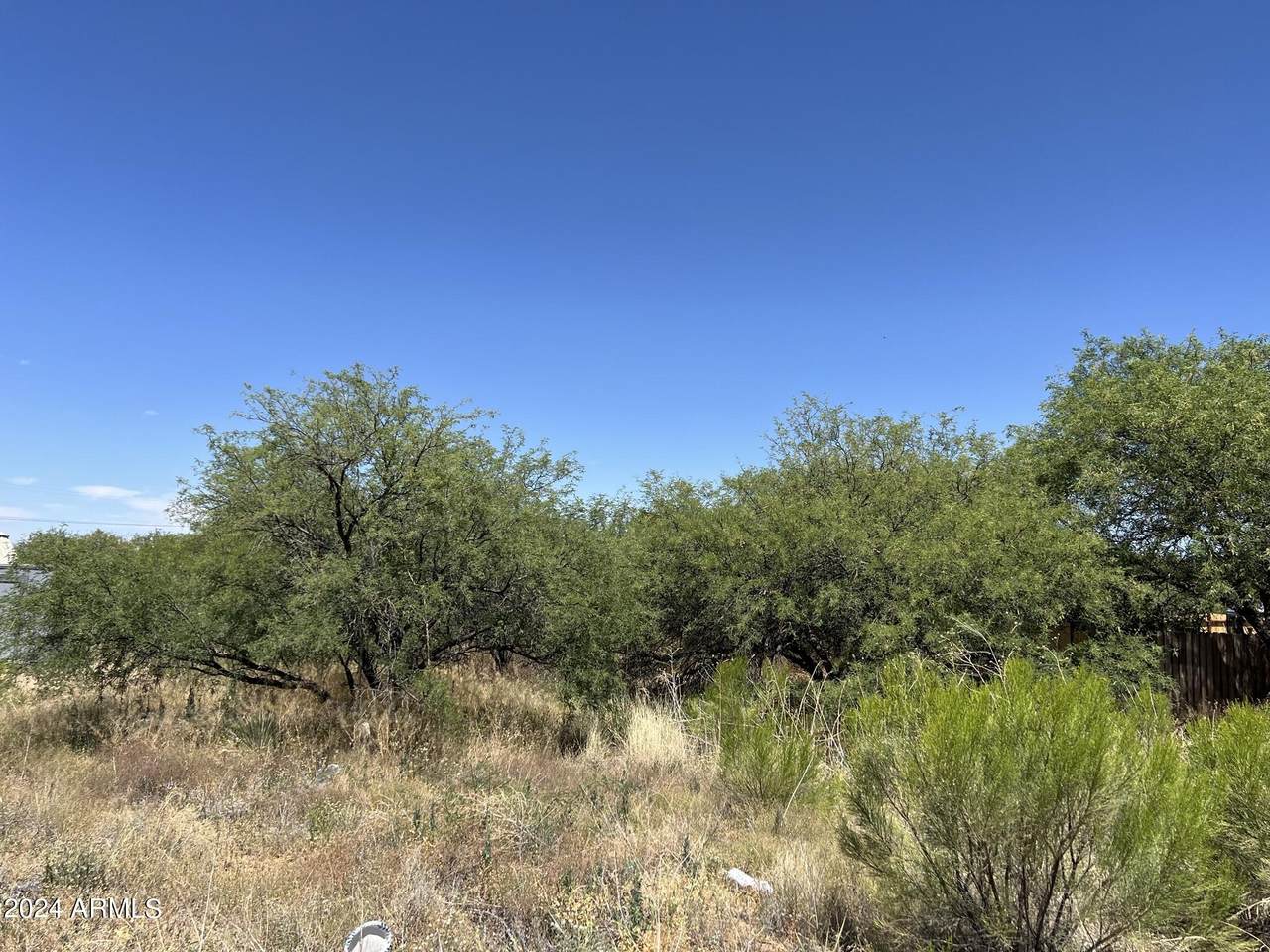 .19 Acres Ruth Road - Photo 1