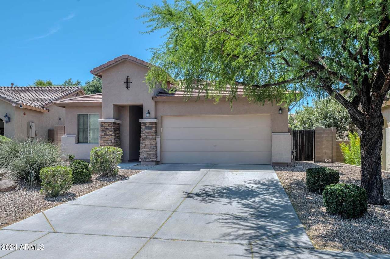 7343 Desert Mirage Drive - Photo 1