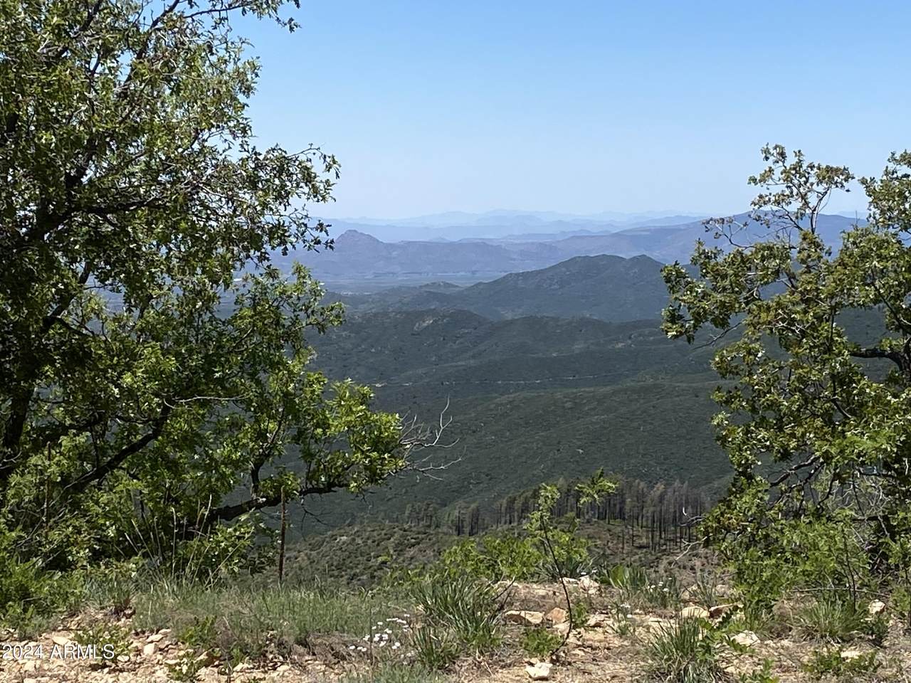 1002 Turkey Trot Trail - Photo 1