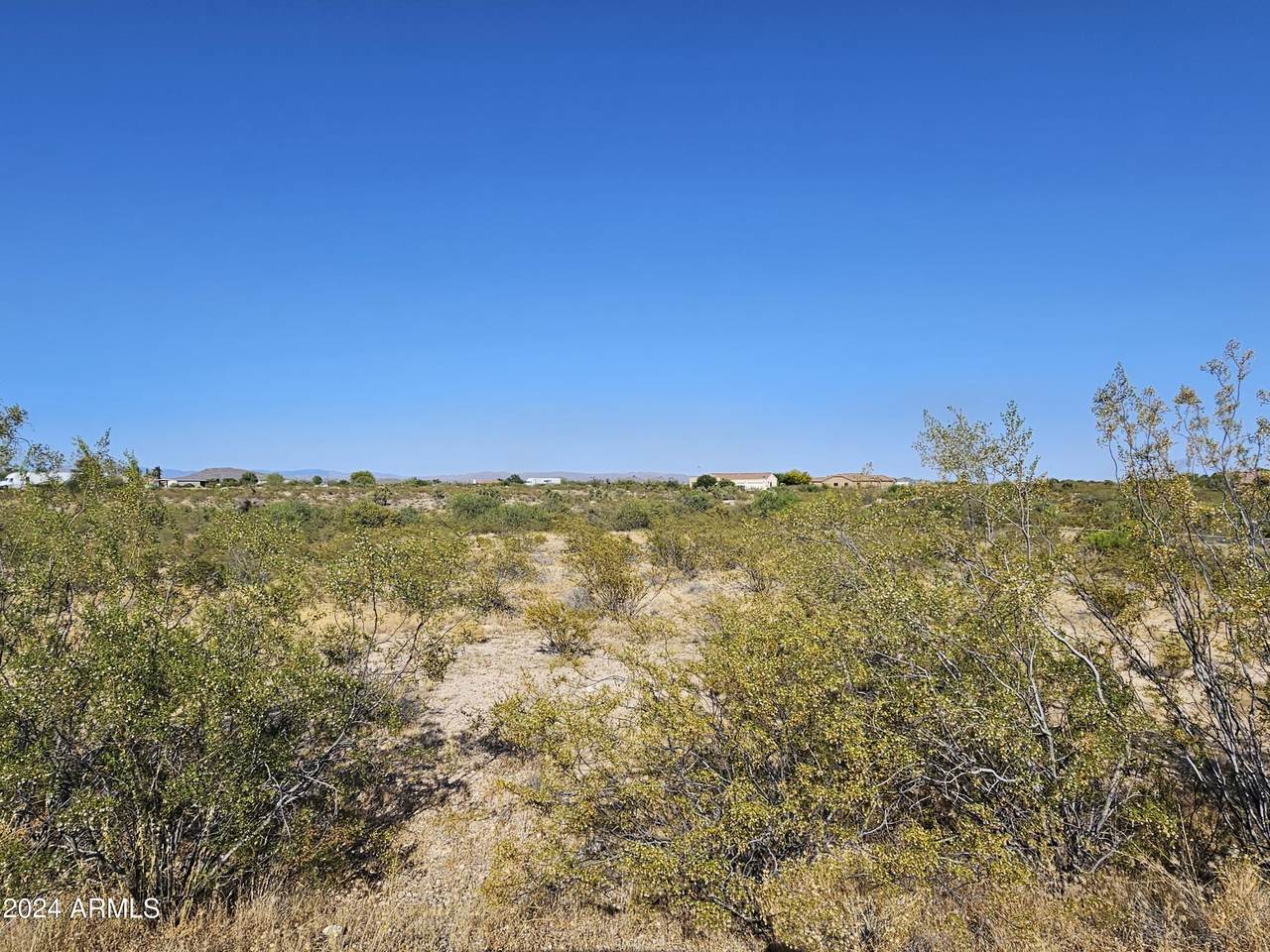 21500 Vista Royale Drive - Photo 1