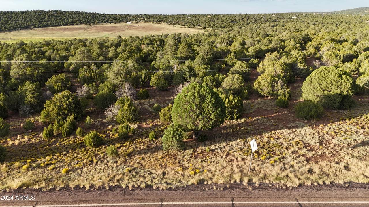 35555 Us Highway 60 - Photo 1