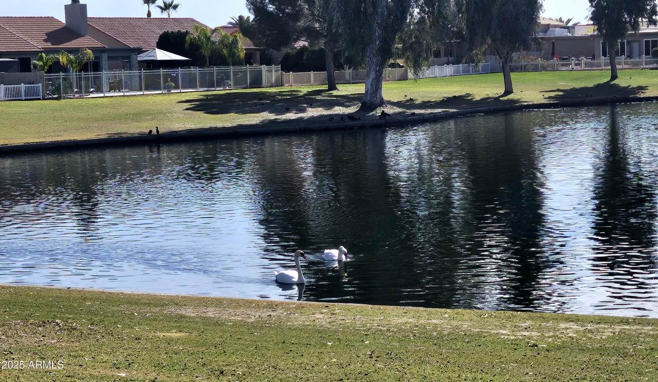 10503 Sunnydale Drive - Photo 1