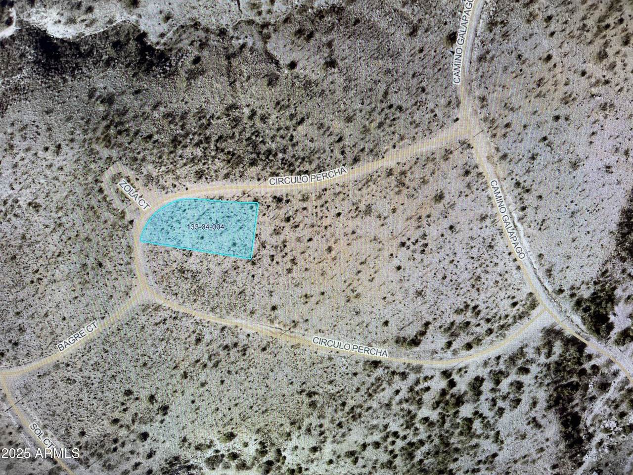 307 Circulo Percha - Photo 1