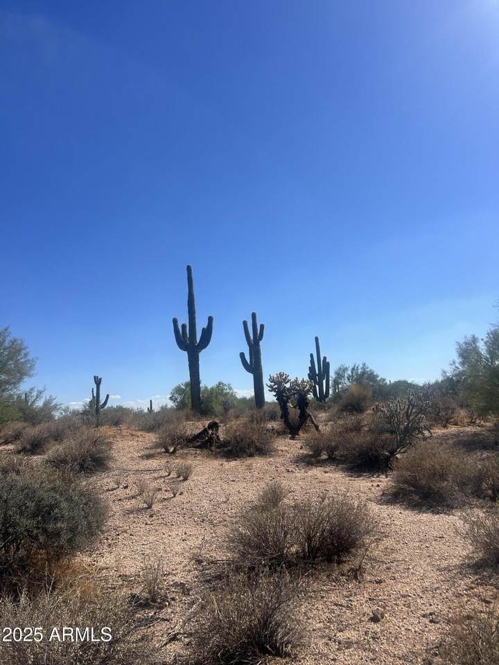 33505 55TH Street - Photo 1