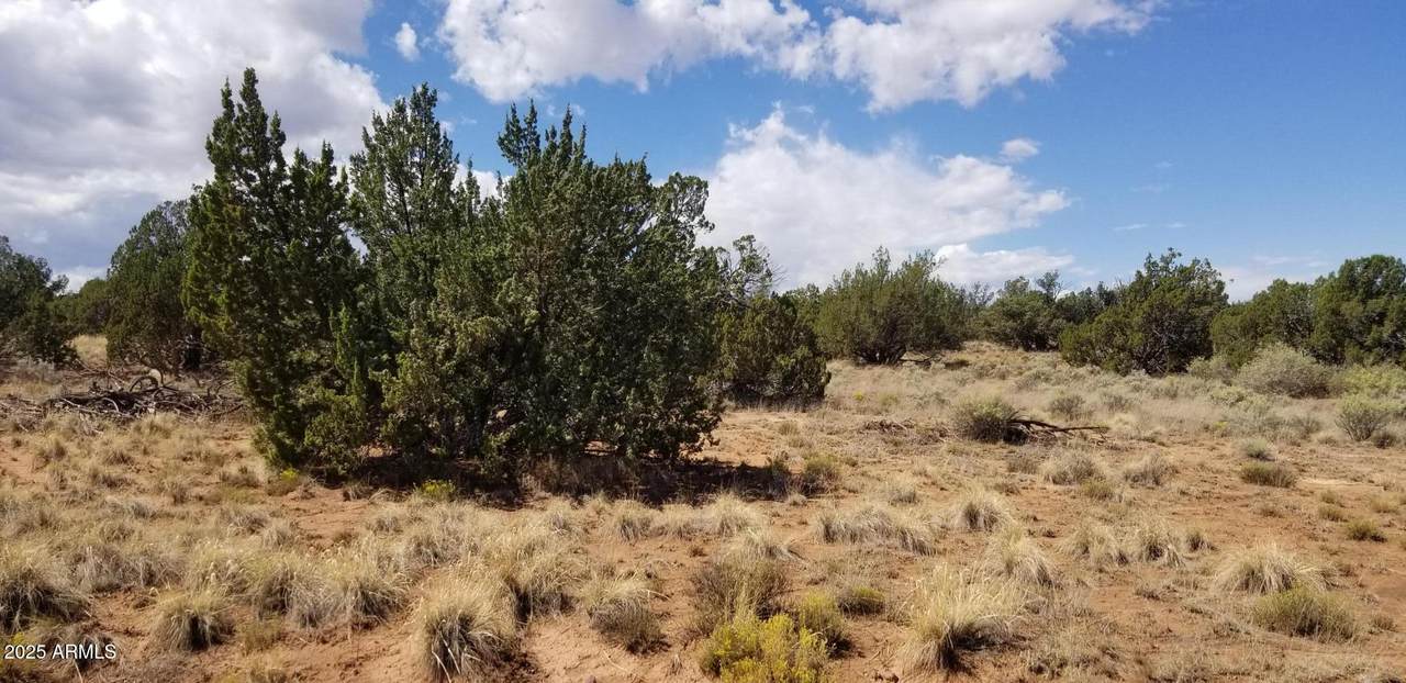 3908 71B Hidden Ranch Road - Photo 1