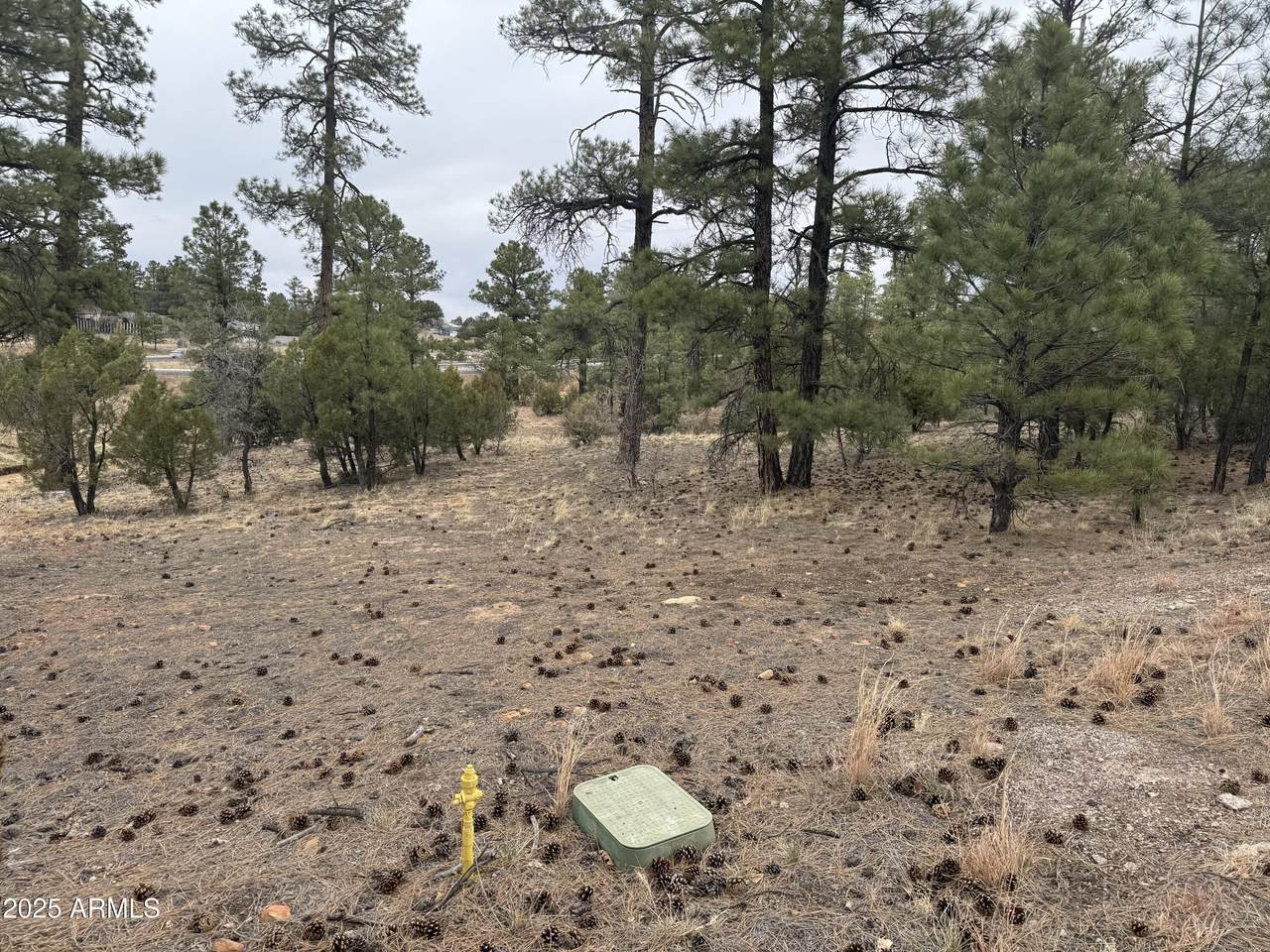 40 Timber Ridge Loop - Photo 1