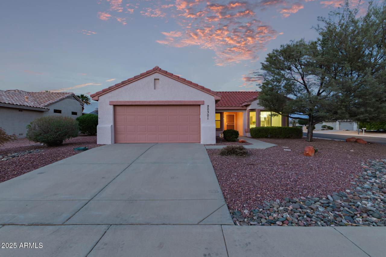 20301 Queen Palm Lane - Photo 1