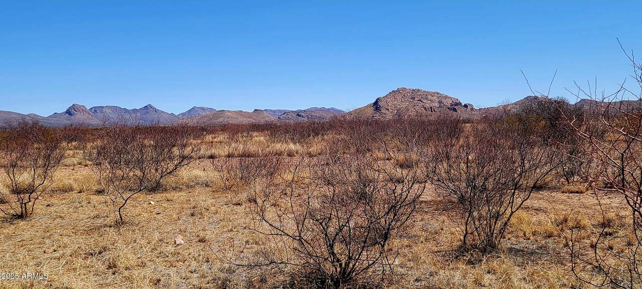 Lot 12/13A Whitaker Lane - Photo 1