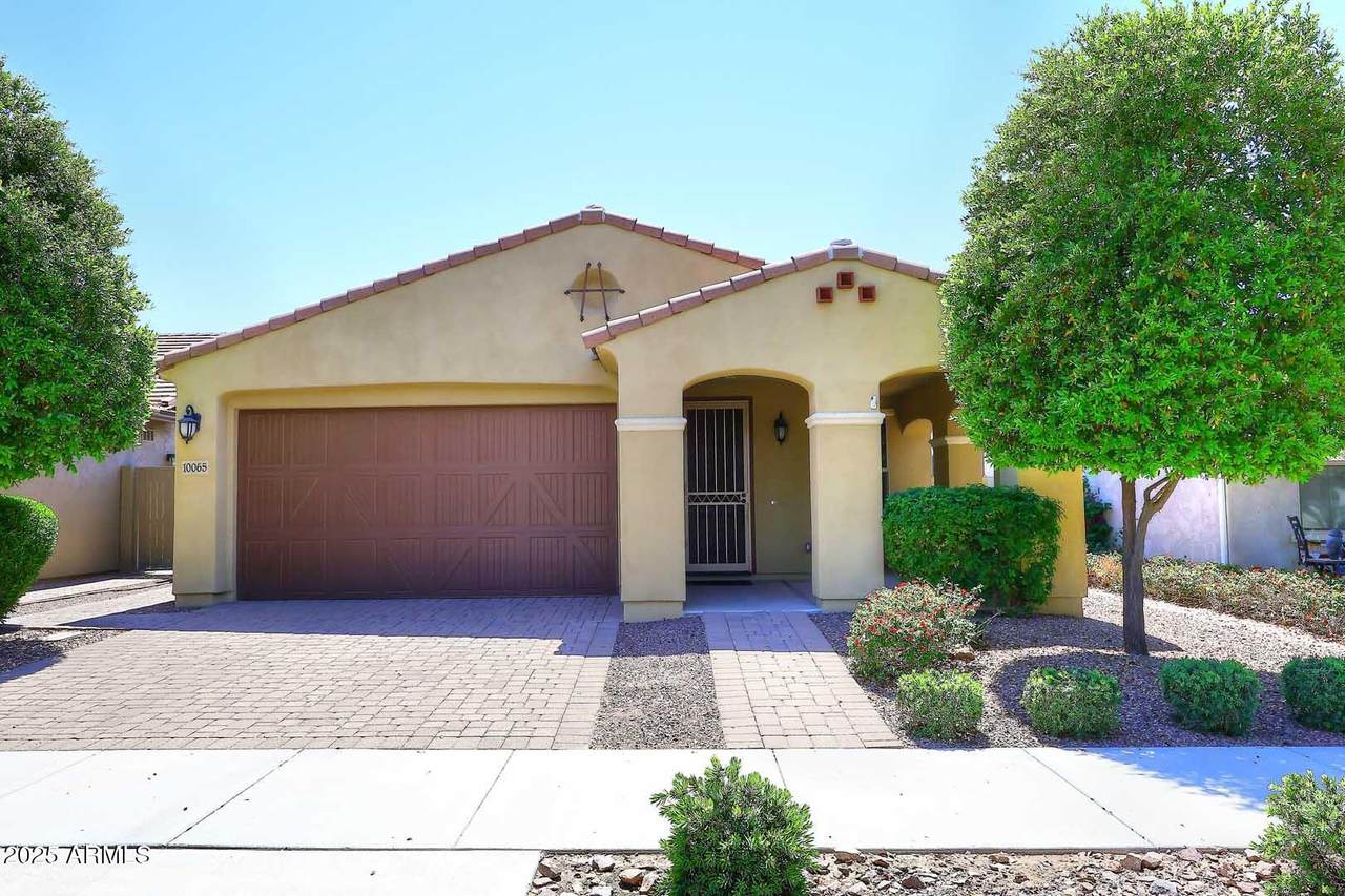 10065 Tiger Lily Avenue - Photo 1