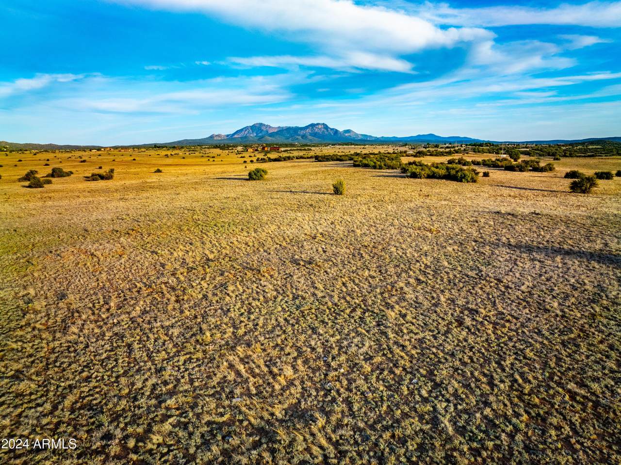 10000 Fair Oaks Road - Photo 1