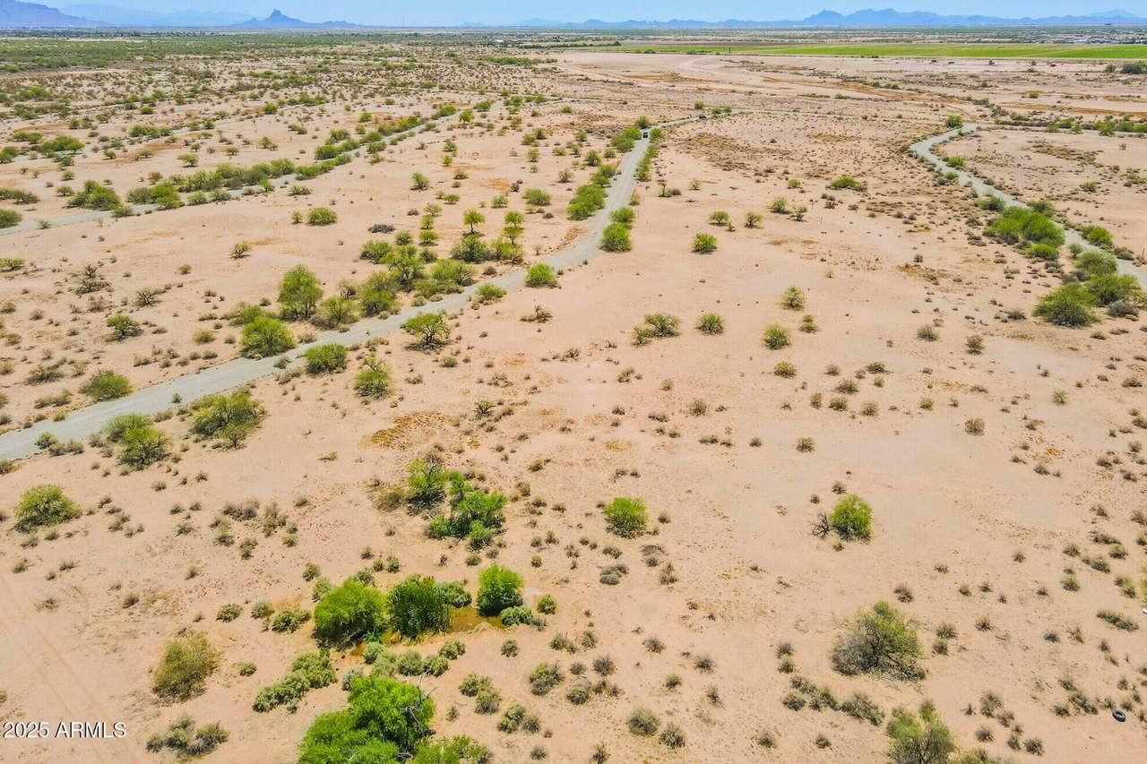 3140 Cactus Wren Drive - Photo 1