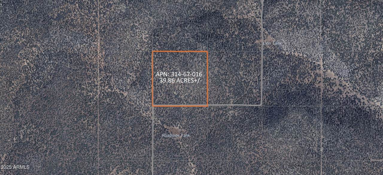 8711 High Mountain Road - Photo 1